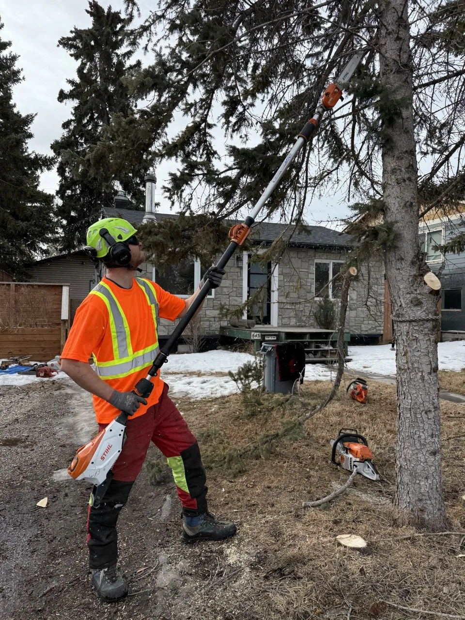 Tree pruning in Calgary