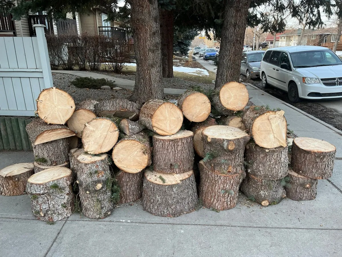 Cut firewood rounds stacked on sidewalk