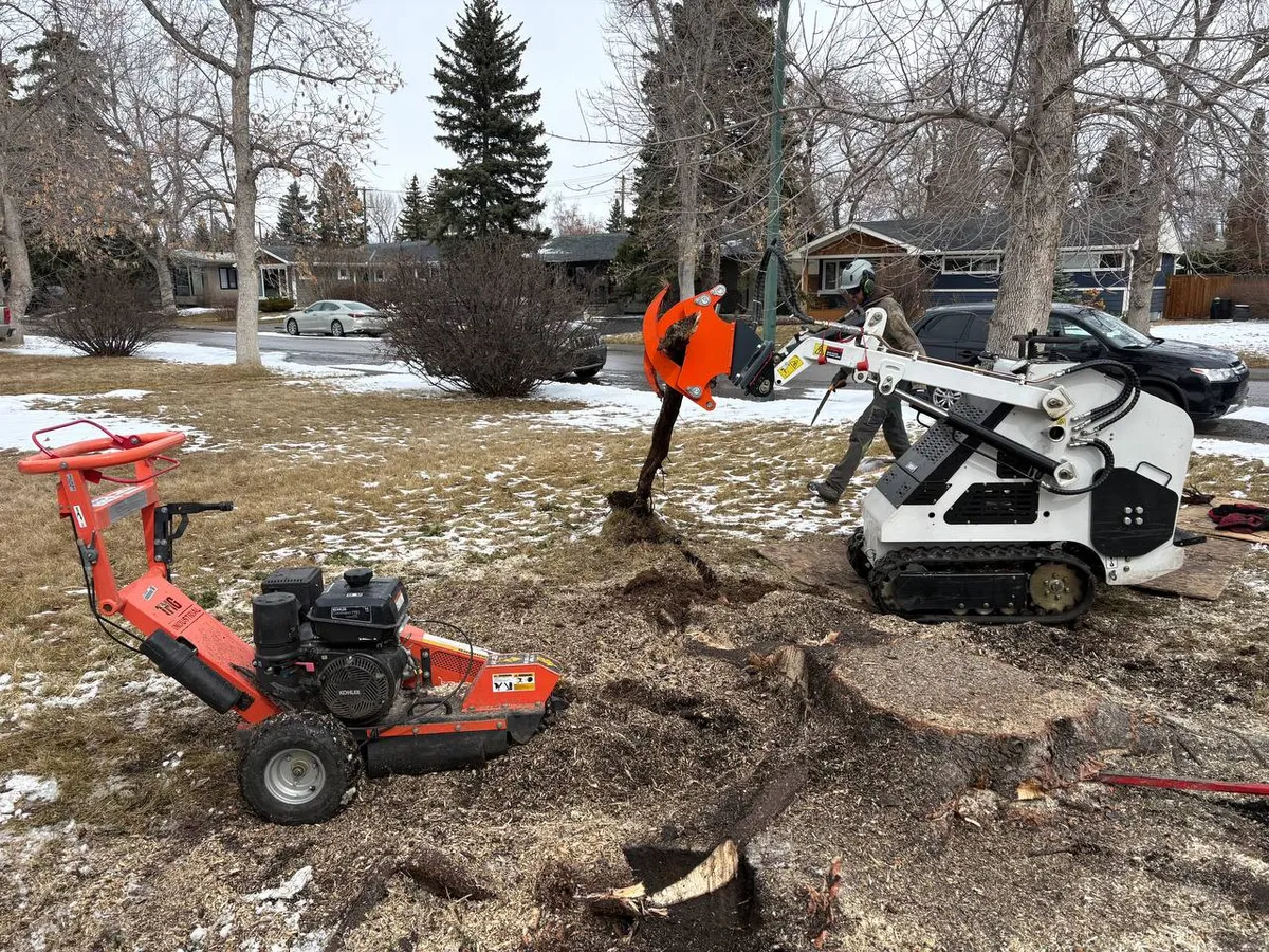 Stump grinder equipment on large stump