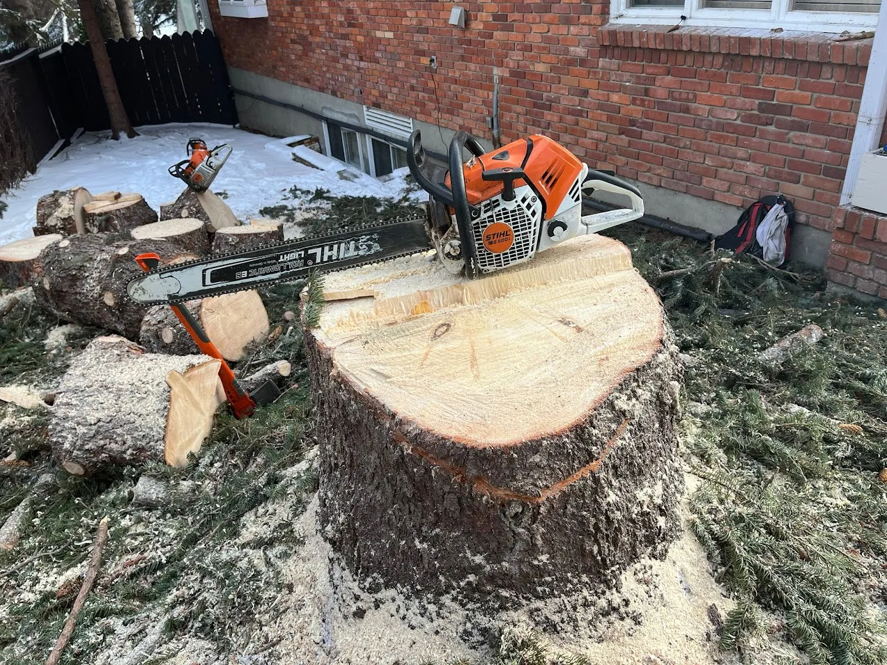 Stump grinding in Calgary